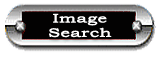 Images Search 